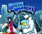 Arctic Wonders